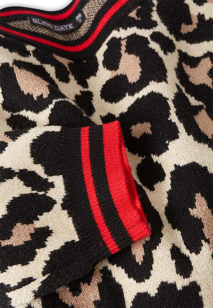 Pullover mit Leo-Muster